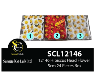 12146 Hibiscus Head Flower 5cm 24 Pieces Box