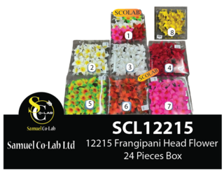 12215 Frangipani Head Flower 24 Pieces Per Pack
