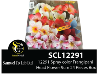 12291 Spray color Frangipani Head Flower 9cm 24 Pieces Box