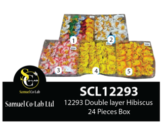 12293 Double layer Hibiscus 24 Pieces Per Pack