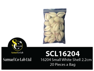 16204 Small White Shell 2.2cm x20 Pieces a Bag