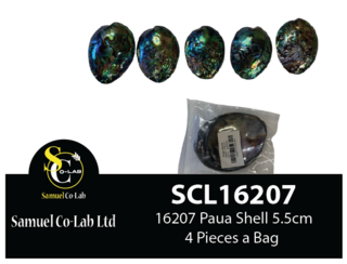 16207 Paua Shell 5.5-6cm x5 Pieces a Bag