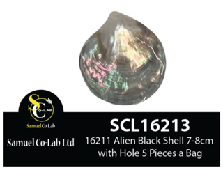 16213 Alien Black Shell with Hole 7-8cm x5 Pieces a Bag