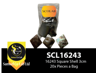 16243 Square Parau Shell 3cm x20 Pieces a Bag