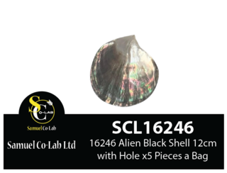 16246 Alien Black Shell with Hole 12cm x5 Pieces a Bag