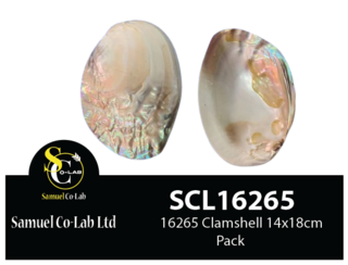 16265 Clamshell 14cmx18cm