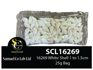 16269 White Shell 1.1cm to 1.5cm 25g Per Bag