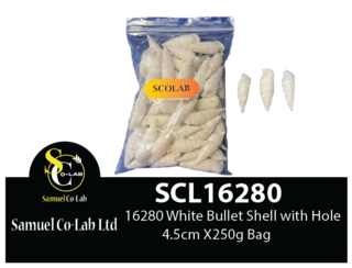 16280 White Bullet Shell with Hole 4.5cm 1x250g Bag