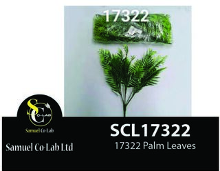 17322 Palm Leaves