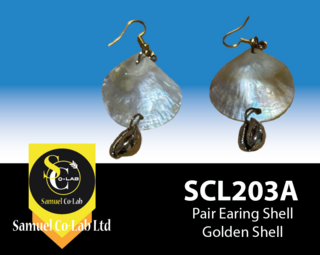 Shell Earring with golden shell