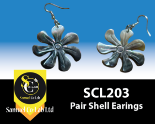samuelcolab Pair Shell Star Earrings