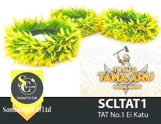 Ei Katu Tama'aru No1